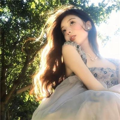 求爱者封面